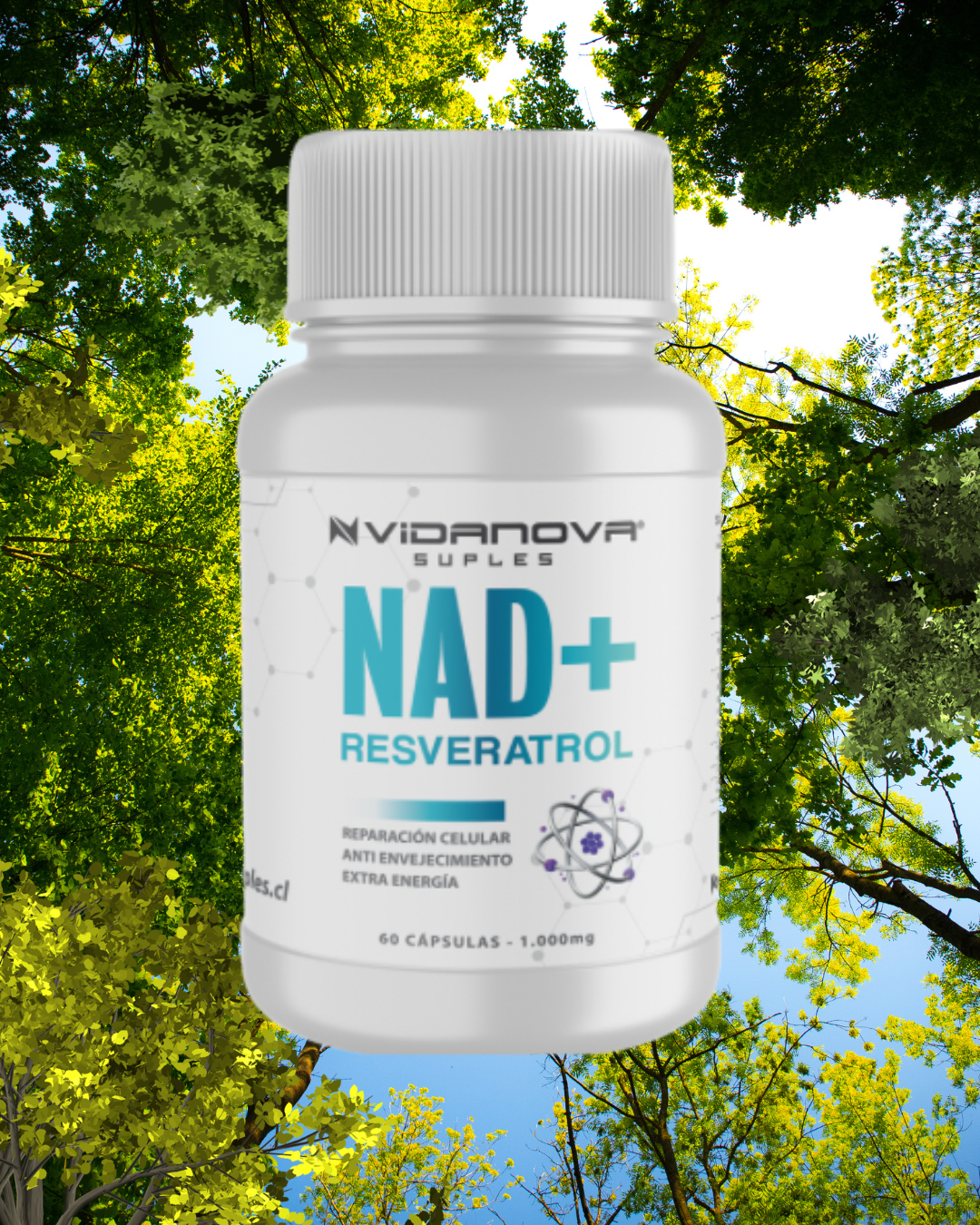 NAD+ Resveratrol   Energía Celular y Antienvejecimiento | 1000mg · 60 cáps